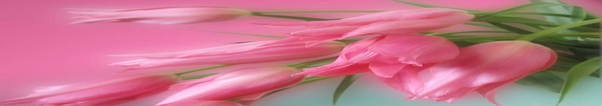PinkFlowers.jpg Exotic pink tulips image by Teresa2008a